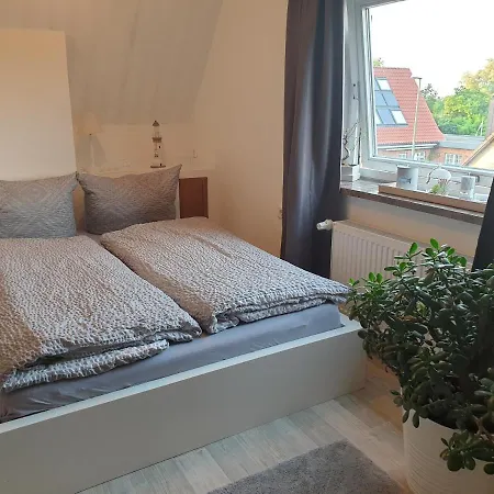 Möwenblick *